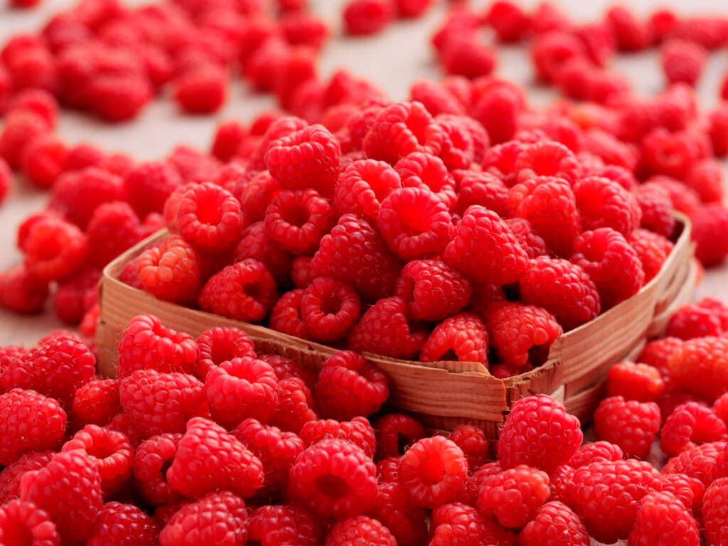 10 Health Benefits of Raspberries