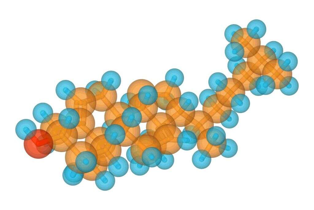 Lipids