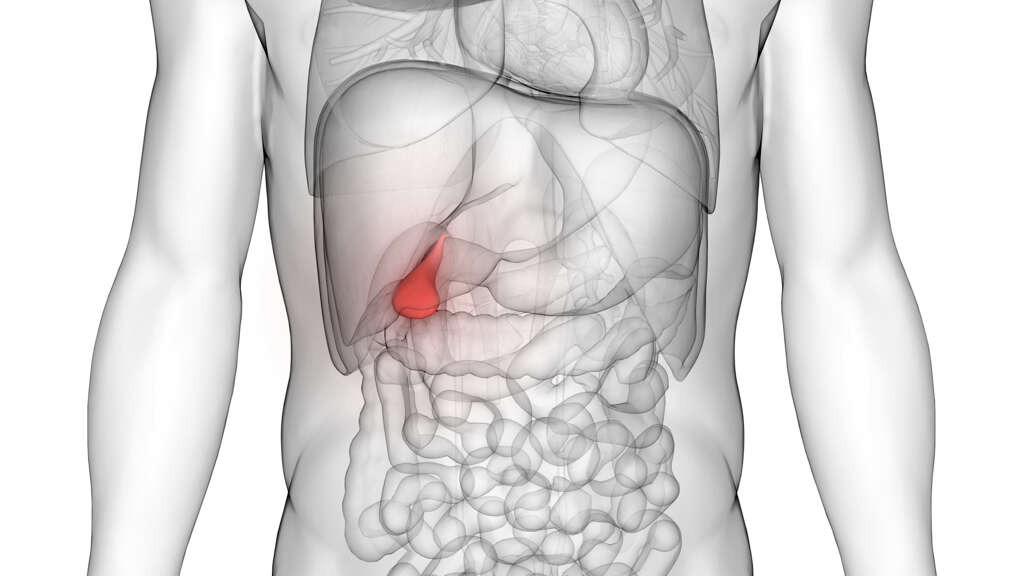 Gallbladder