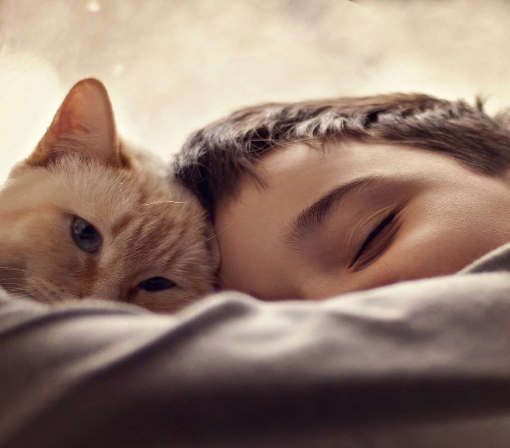 Cat Scratch Fever