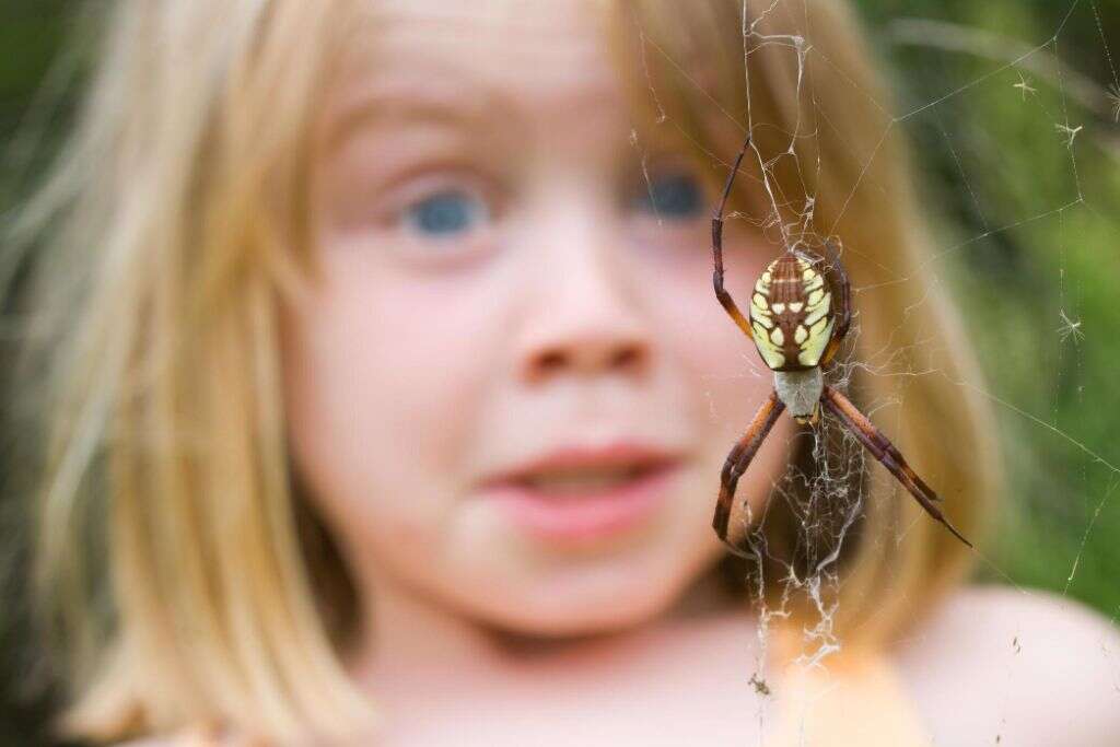 Fears & Phobias