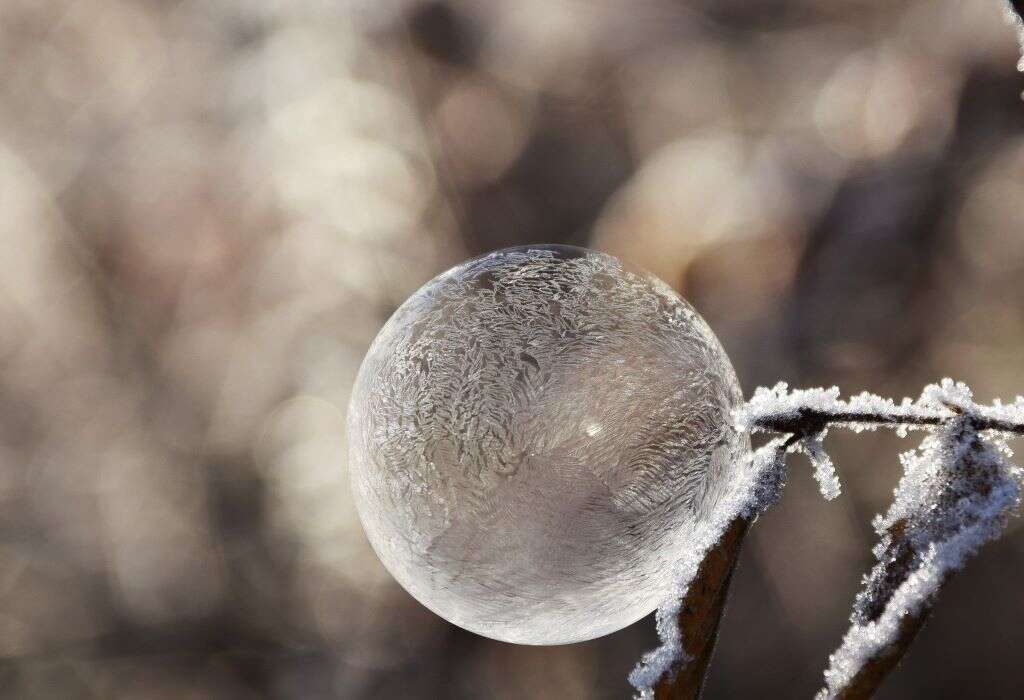 Fungal Infection