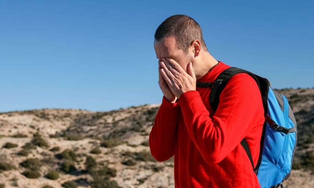 Influenza B Symptoms