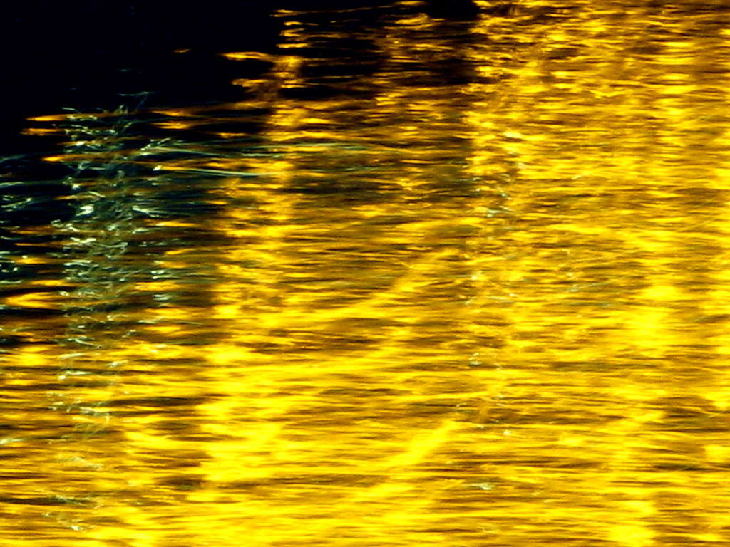 Jaundice