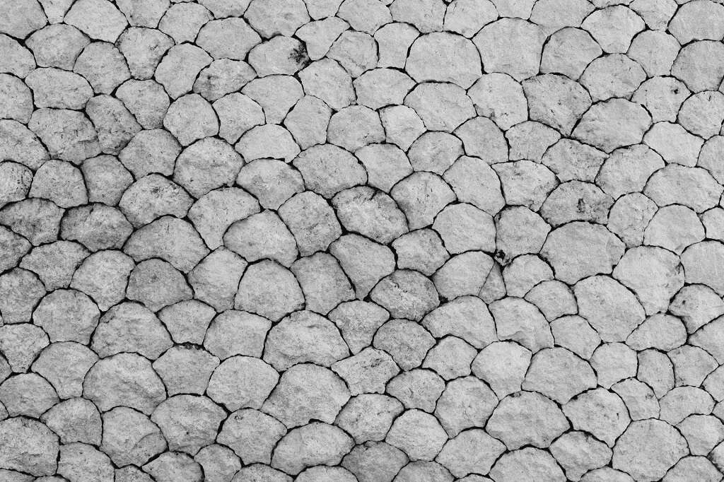 Lichen Planus