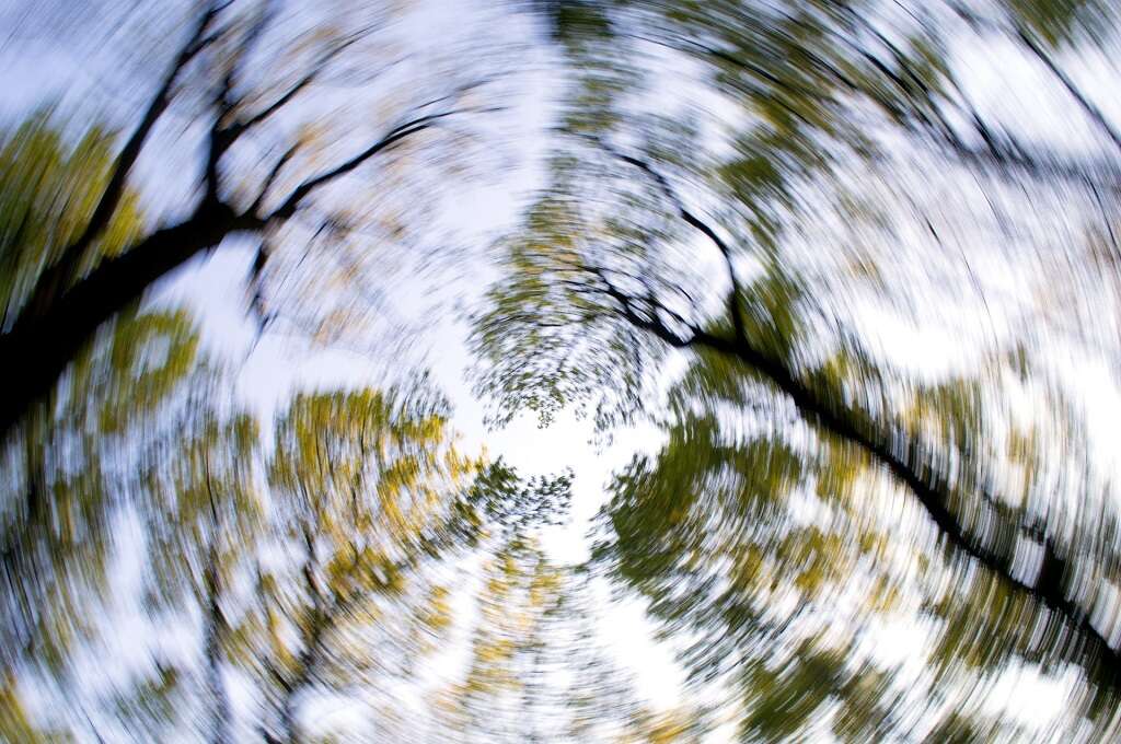 Lightheadedness