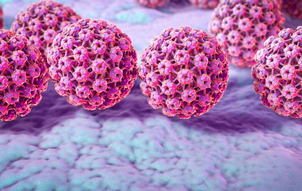 Common Cancers