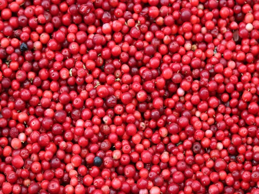 Natural Blood Thinners