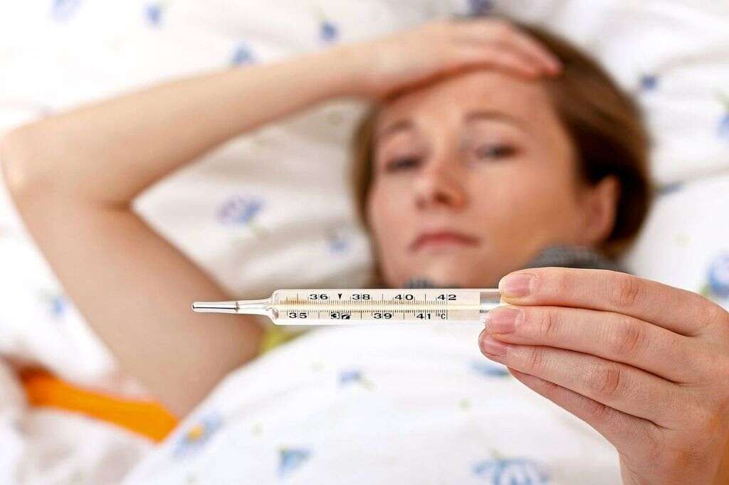 Salmonella Poisoning