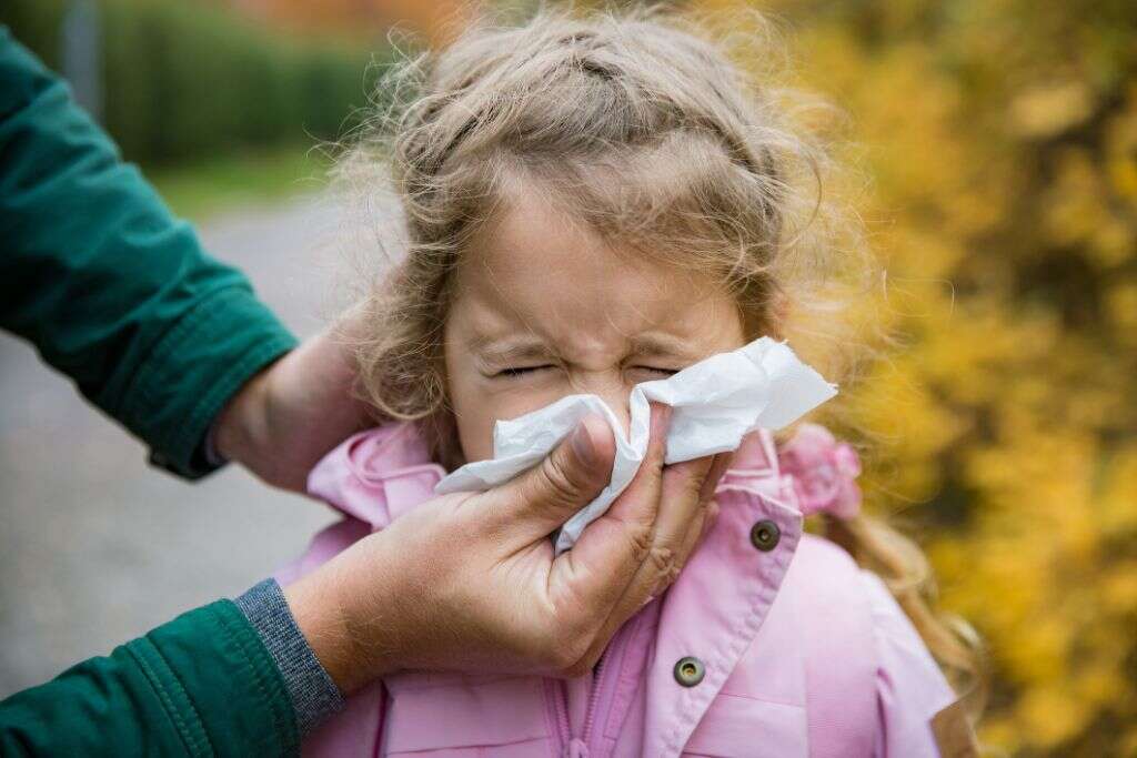 Flu B
