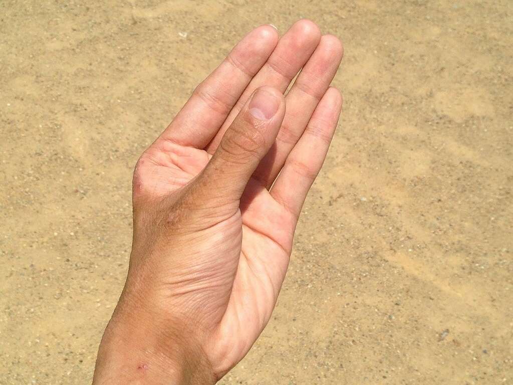 Vitamin E