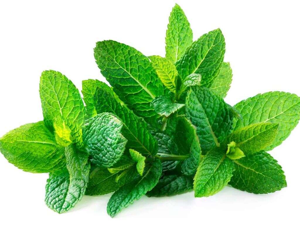 Acid Reflux