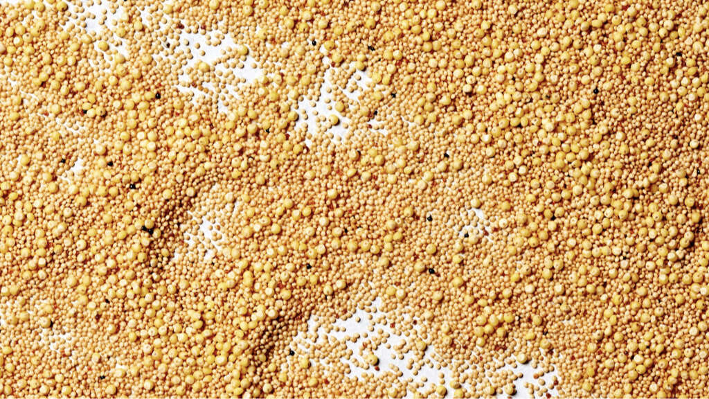 Amaranth