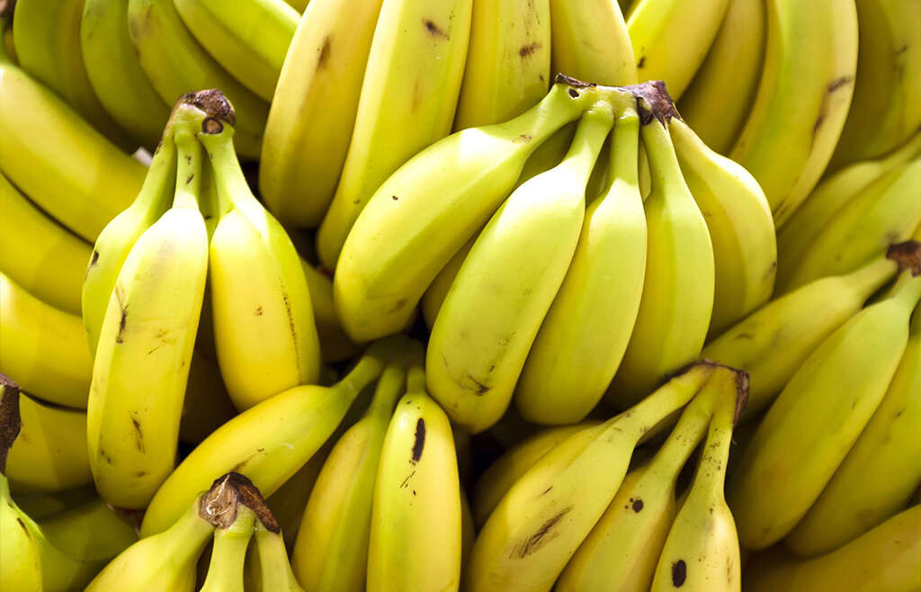 Bananas