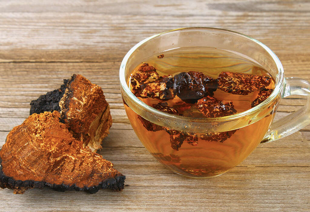 Chaga Mushrooms