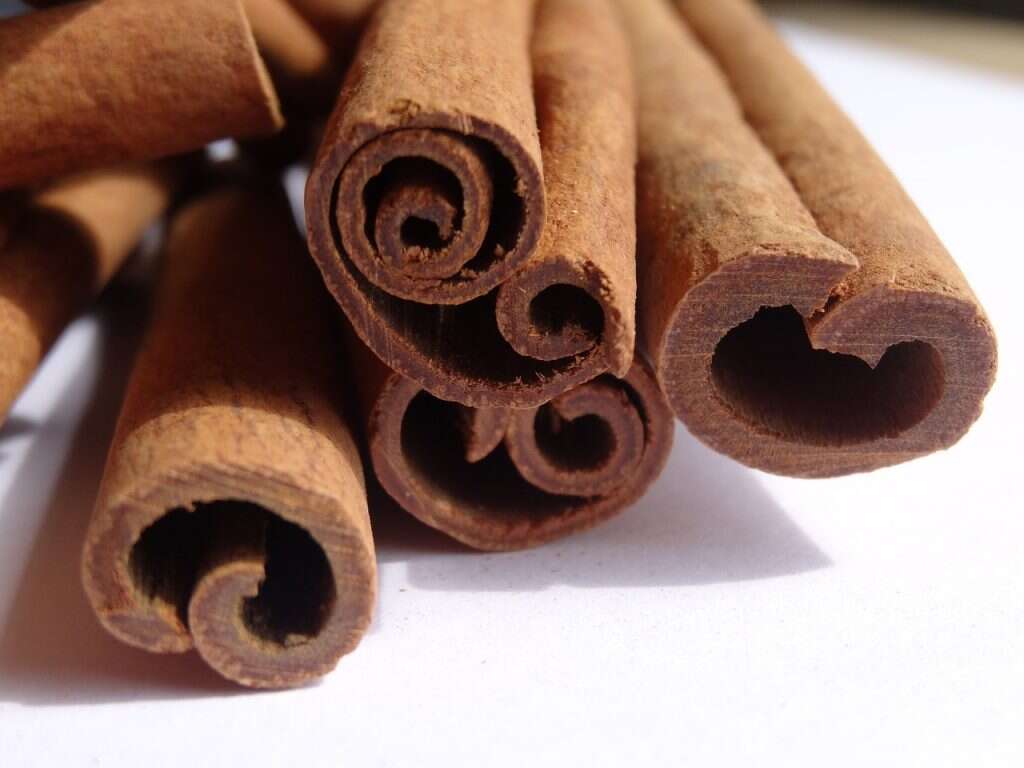 Cinnamon