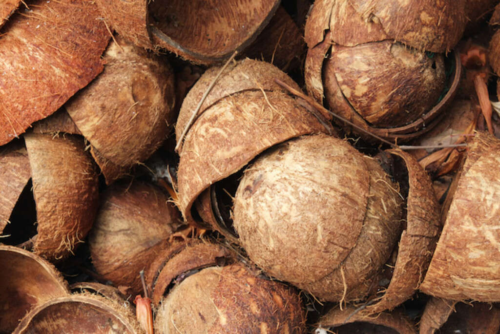 Coconut Vinegar