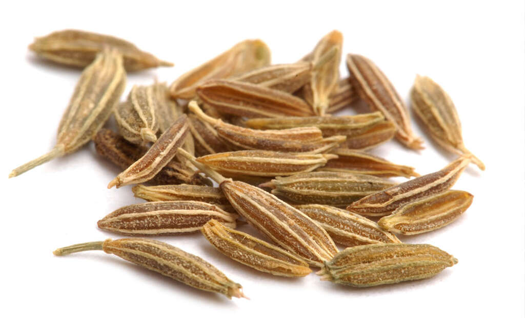 Cumin