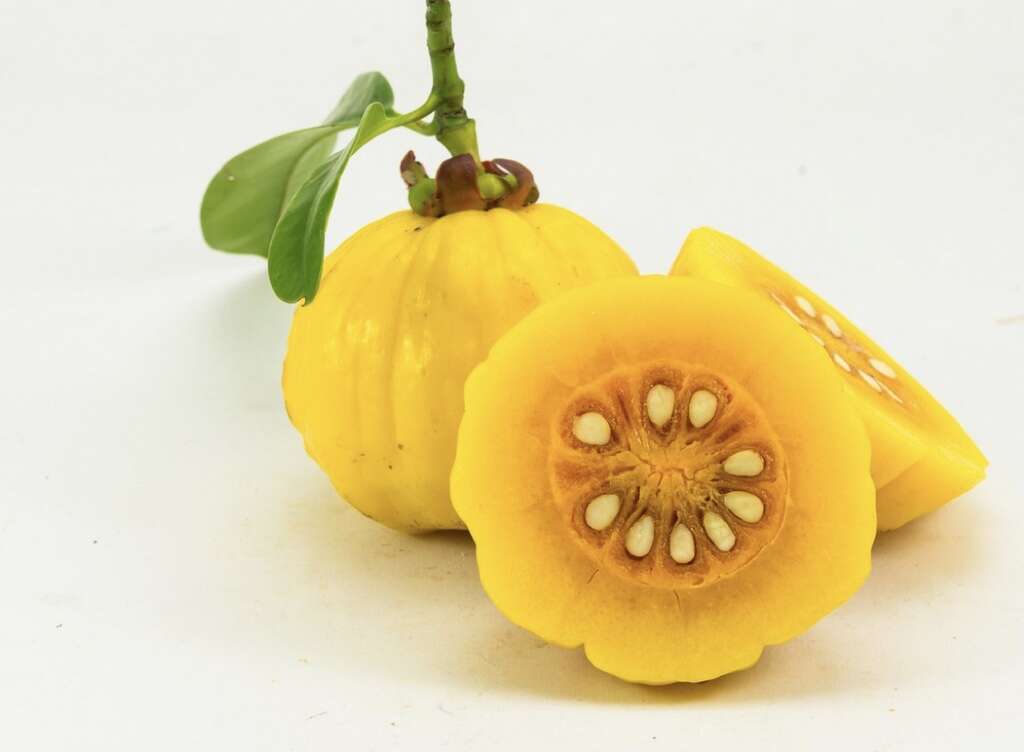 Garcinia Cambogia