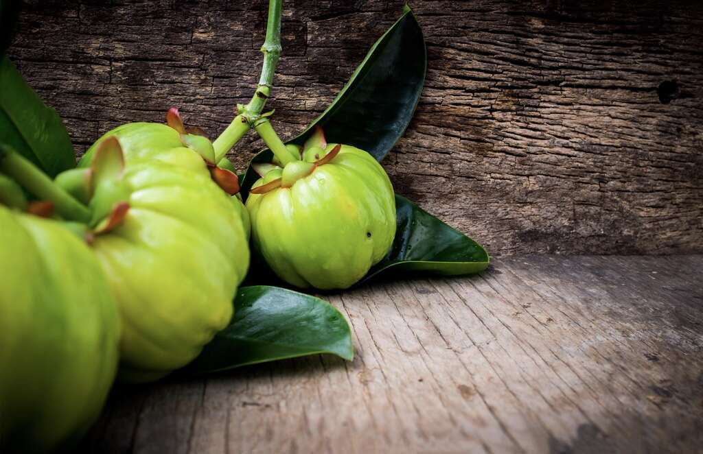 Garcinia Cambogia