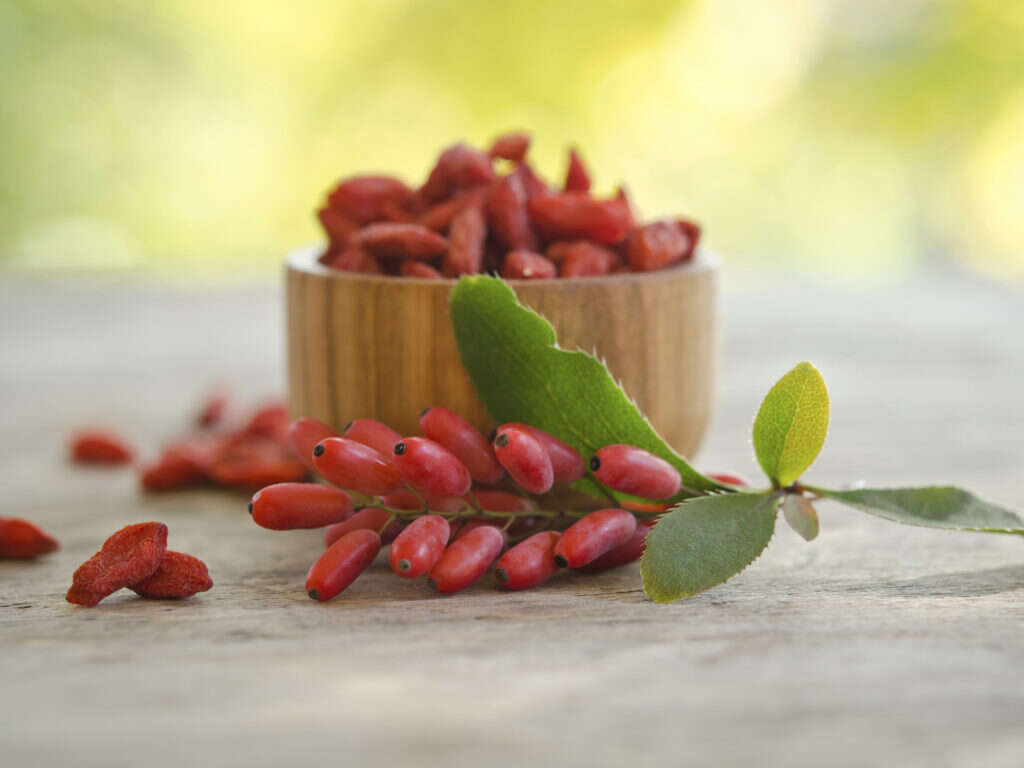 Goji Berries