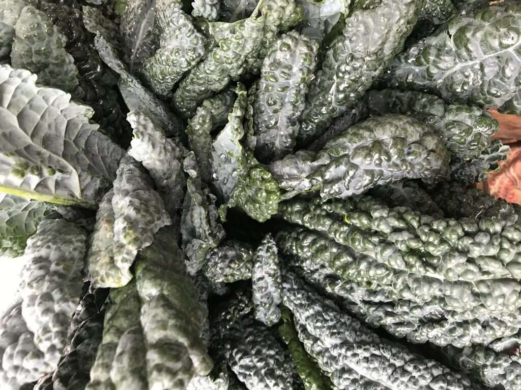 Kale