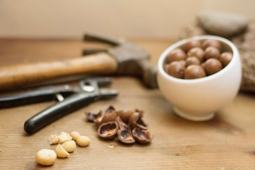 Macadamia Nuts