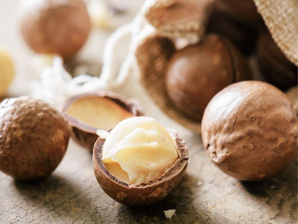 Macadamia Nuts