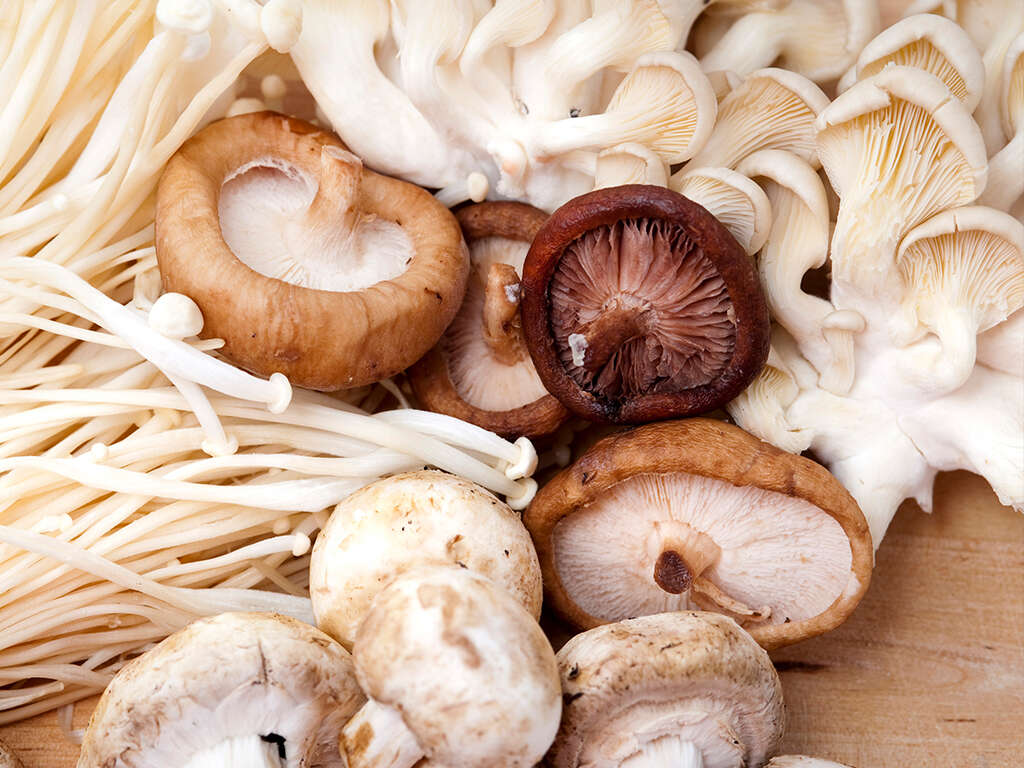 Shiitake Mushrooms Shiitake Mushroom Benefits