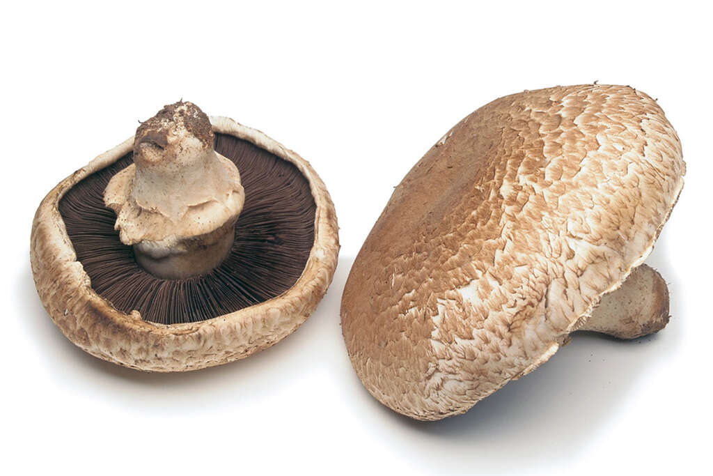 Mushrooms