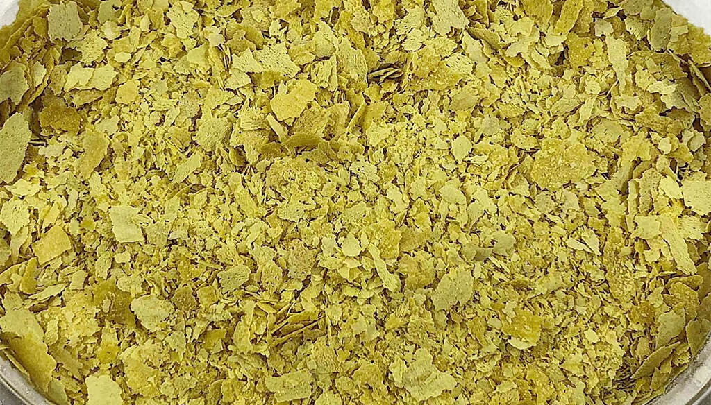 Nutritional Yeast
