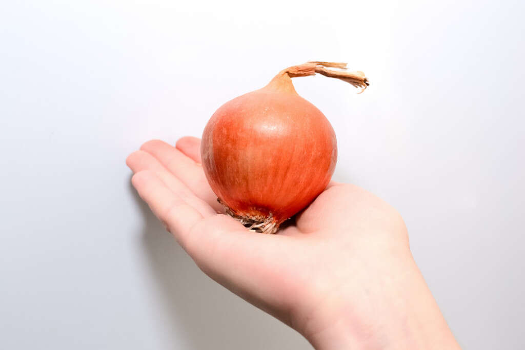 Onions