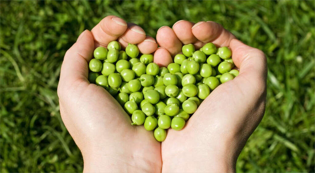 Peas