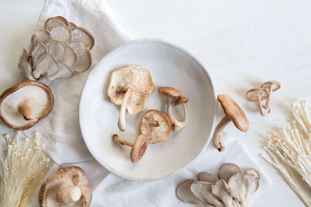 Reishi