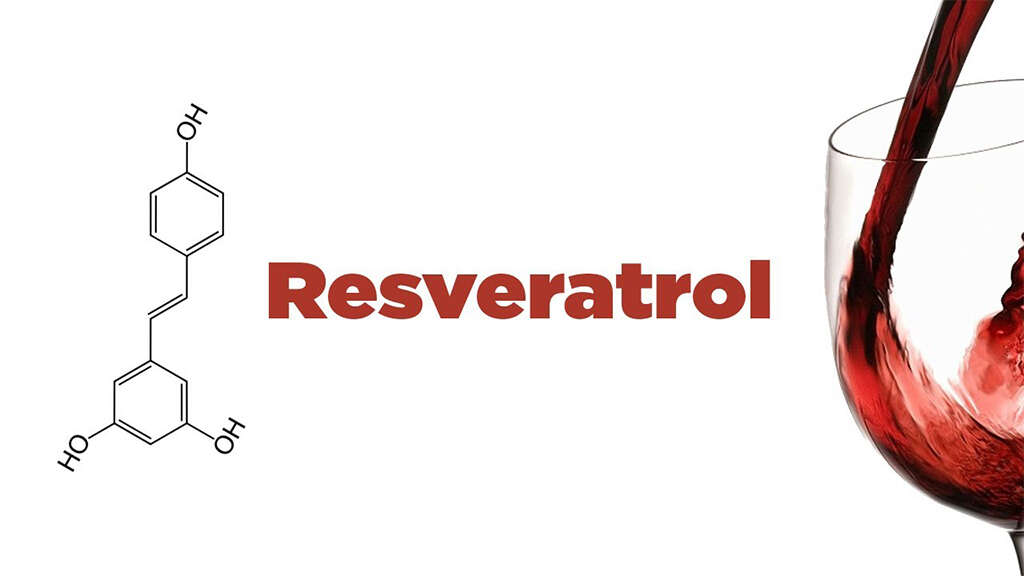 Resveratrol