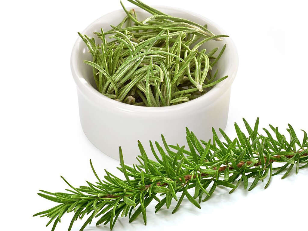 Rosemary