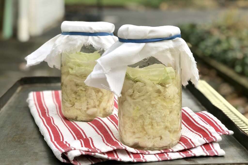 Sauerkraut