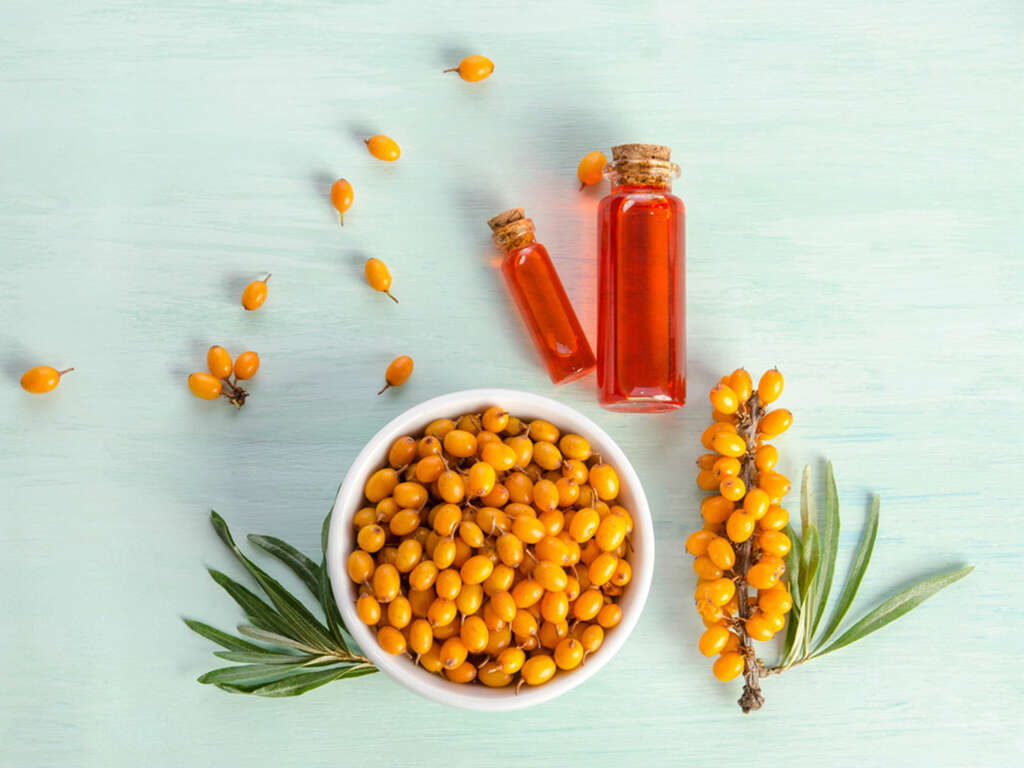 Sea Buckthorn Oil