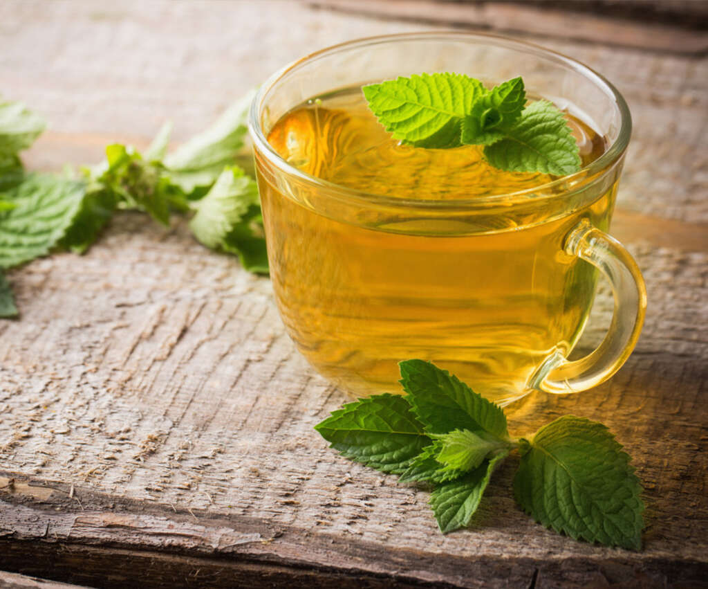 Spearmint Tea