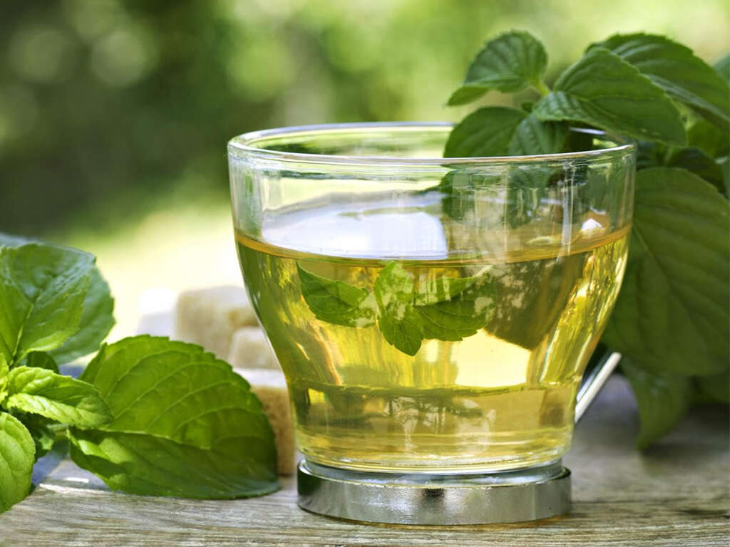 Spearmint Tea