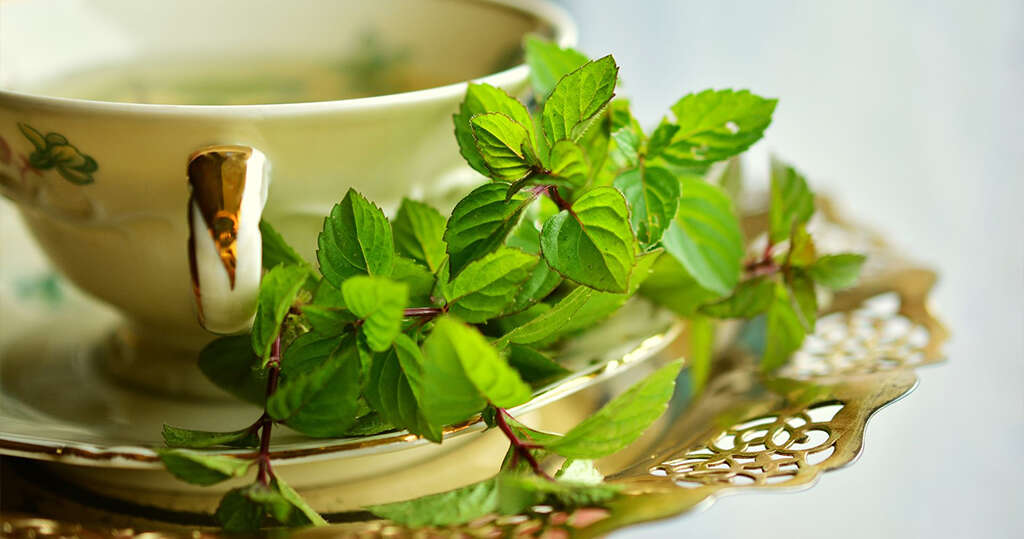 Spearmint Tea