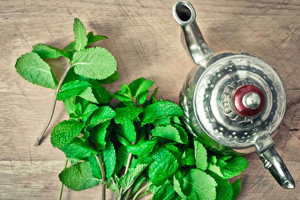 Spearmint Tea