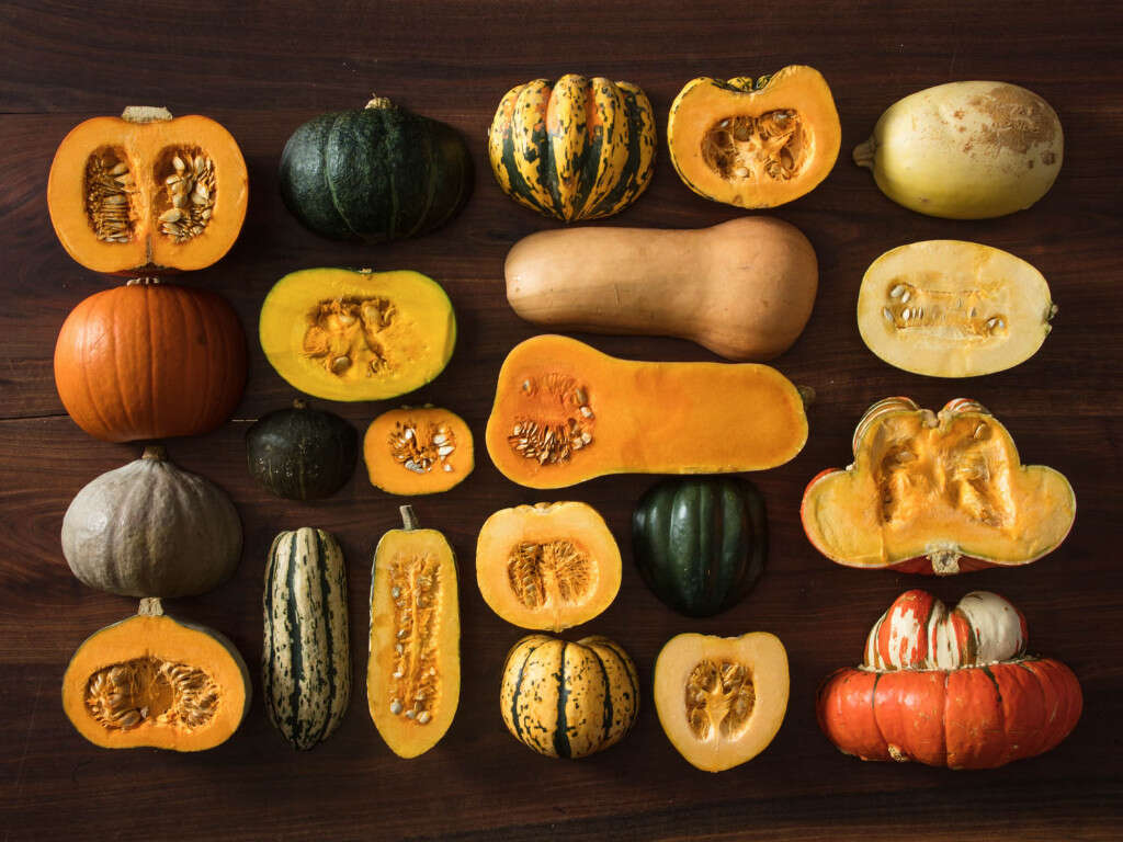 Eating Squash