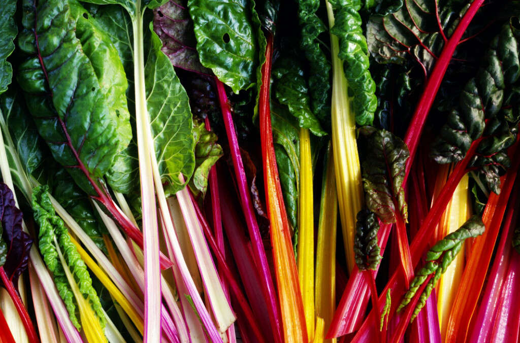 Swiss Chard