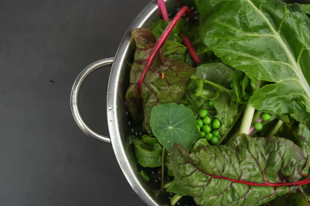 Swiss Chard