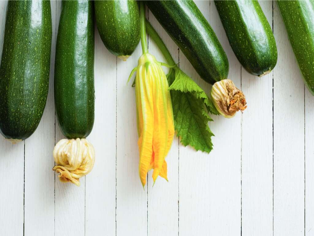 Zucchini