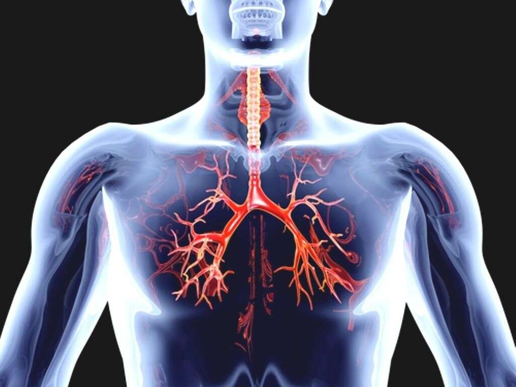 Blood Clot In Lung