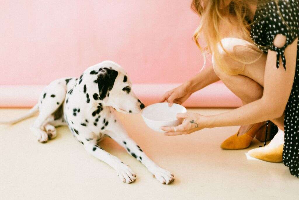 Dogs Eat Grapes