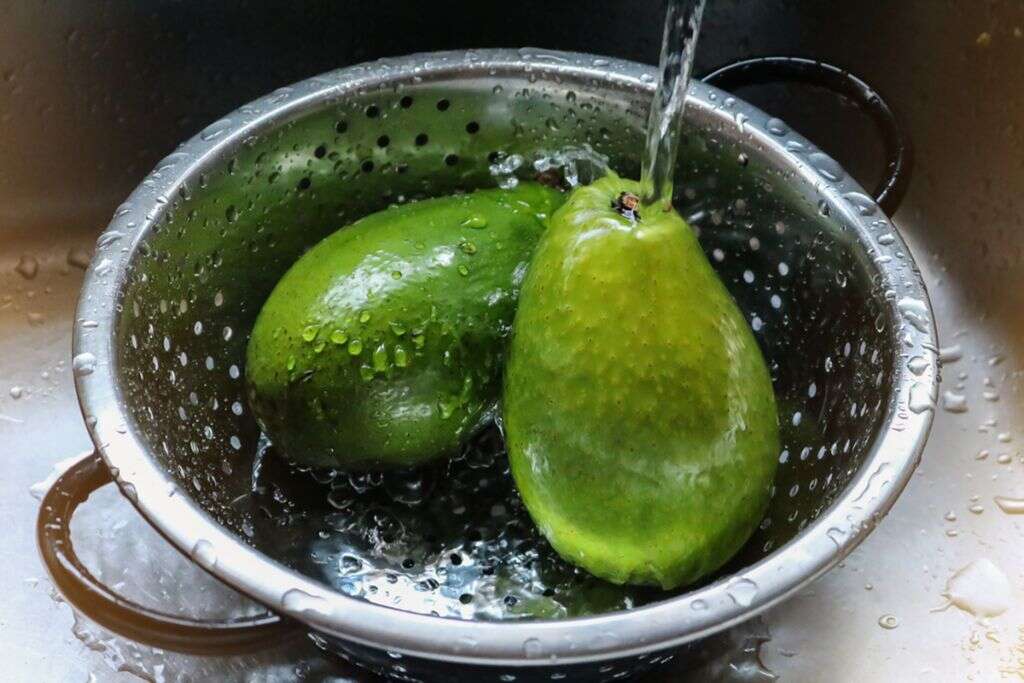 Freeze Avocados
