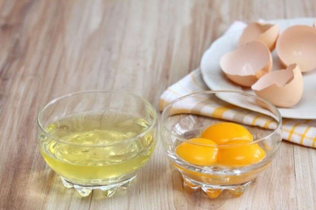 Freeze Eggs